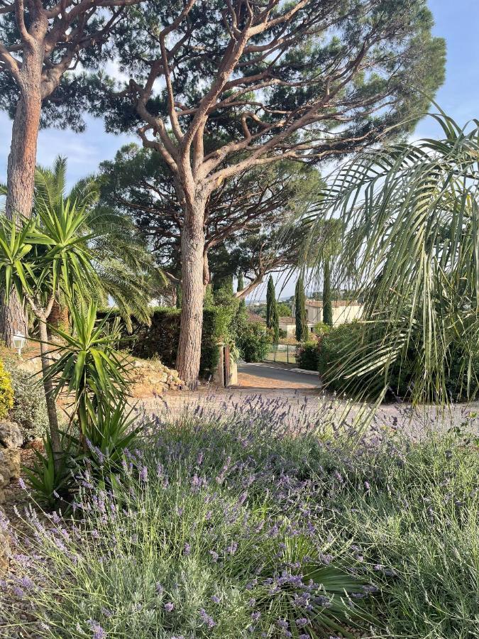 Paradis Provencal サント・マキシム エクステリア 写真