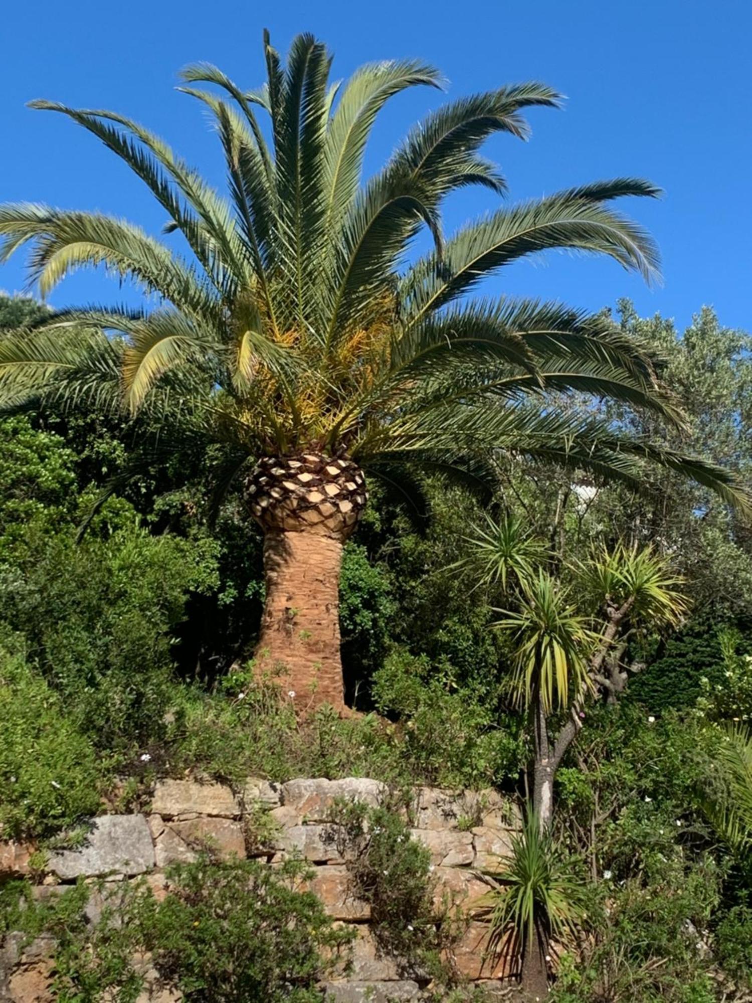 Paradis Provencal サント・マキシム エクステリア 写真